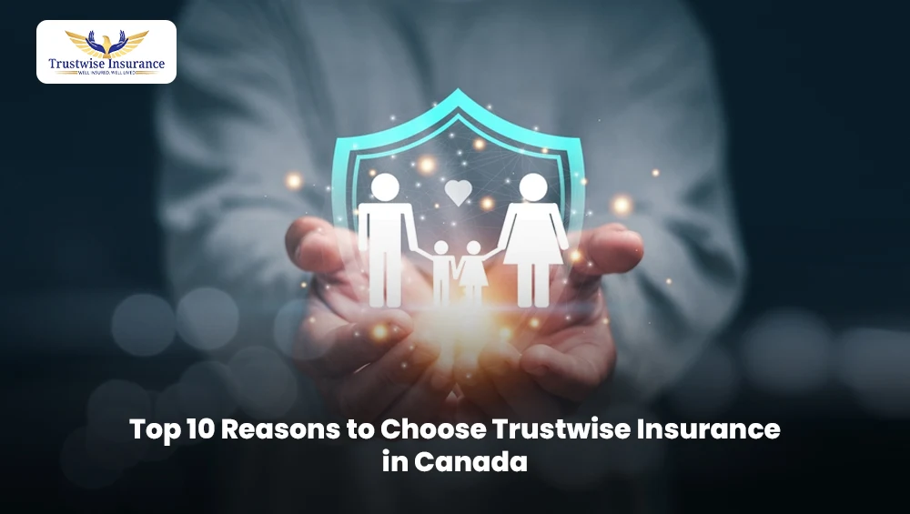 Top 10 Reasons to Choose Trustwise Insurance in Canada
